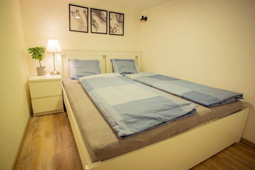 Cosy 2 Bedroom Flat In Akacfa St., Sol ブダペスト エクステリア 写真
