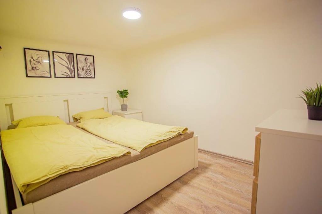 Cosy 2 Bedroom Flat In Akacfa St., Sol ブダペスト エクステリア 写真